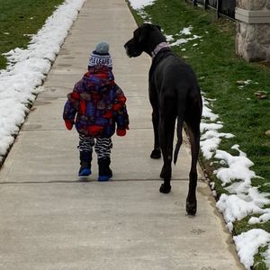 Meet your Posher, Anthony